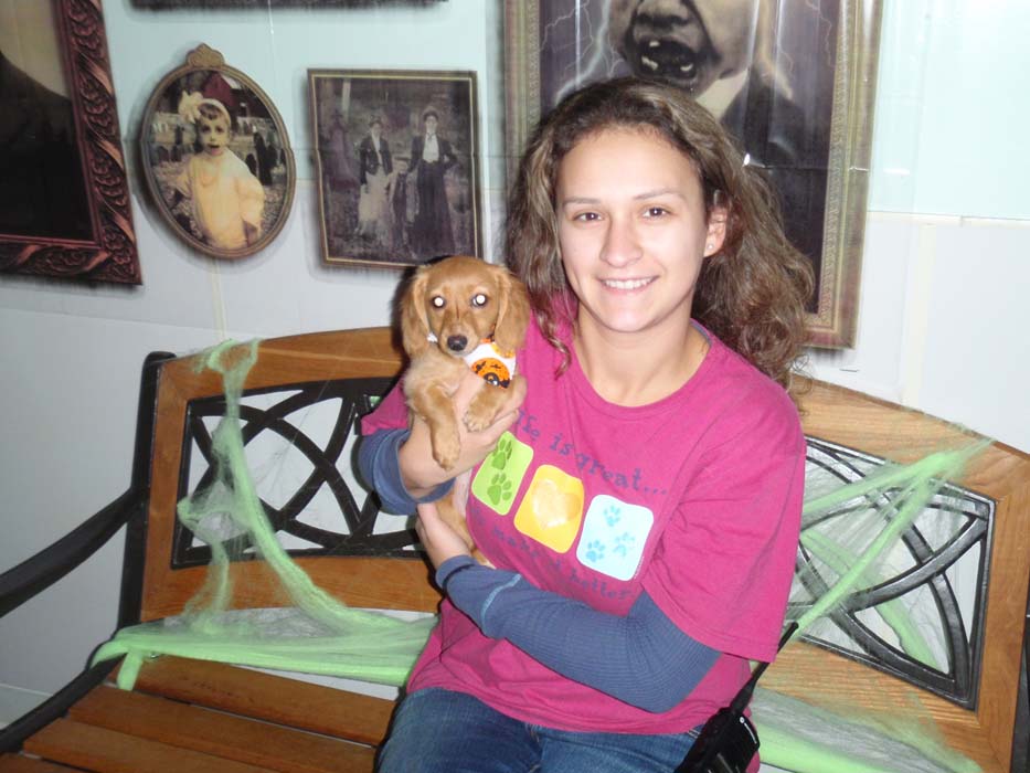 Pet Boarding Facility Seattle Dog Boarding Kent Dog Kennels