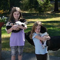 soos Creek Kennels