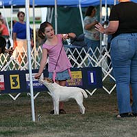 soos Creek Kennels