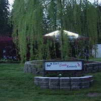 soos Creek Kennels