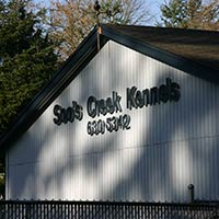 soos Creek Kennels