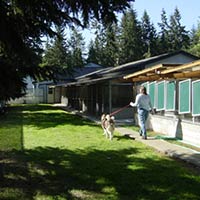 soos Creek Kennels