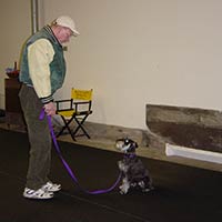 soos Creek Kennels