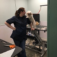 soos Creek Kennels