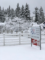 soos Creek Kennels
