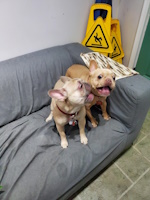 Shilo & Evie